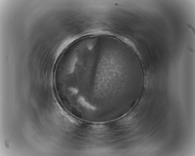 X0000100421231200806131051