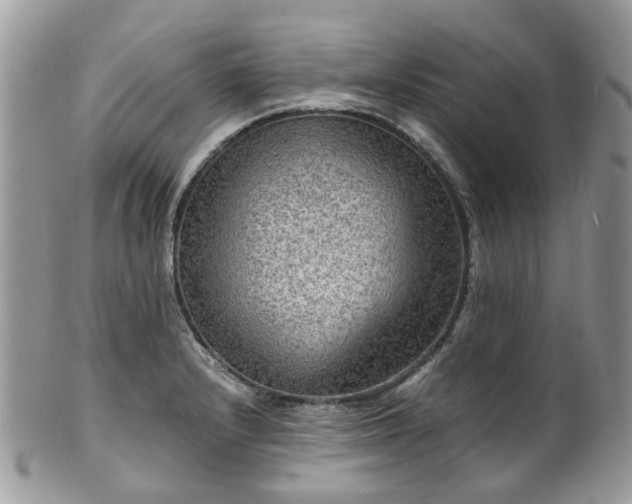 X0000100421232200806131051
