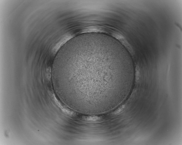 X0000100421233200806131051