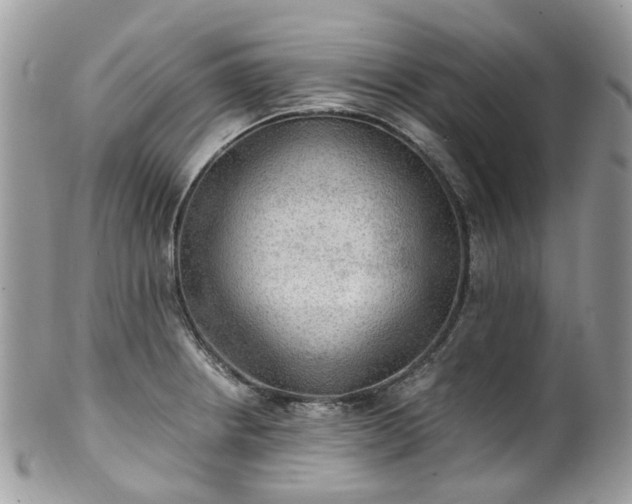 X0000100421234200806131051