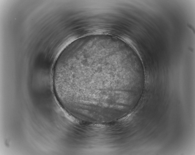 X0000100421235200806131051
