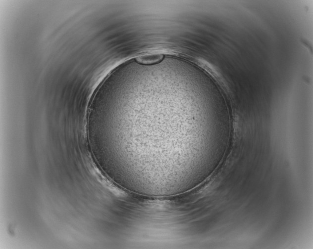 X0000100421236200806131051