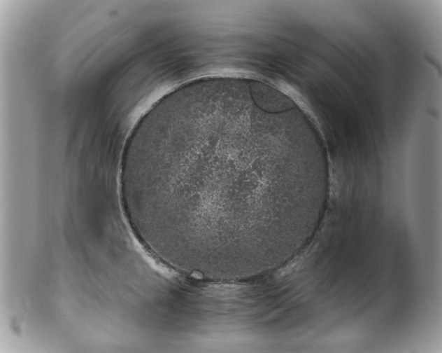 X0000100421237200806131051