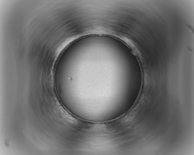 X0000100421238200806131051