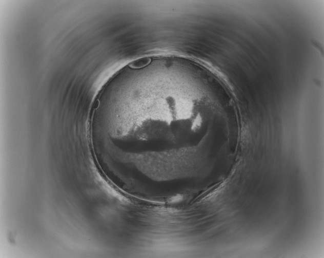 X0000100421239200806131051