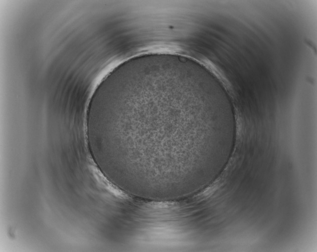 X0000100421240200806131051