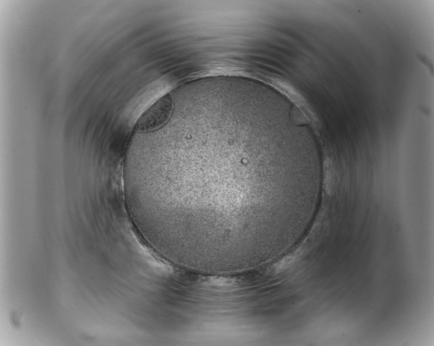 X0000100421241200806131051