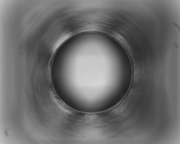 X0000100421242200806131051