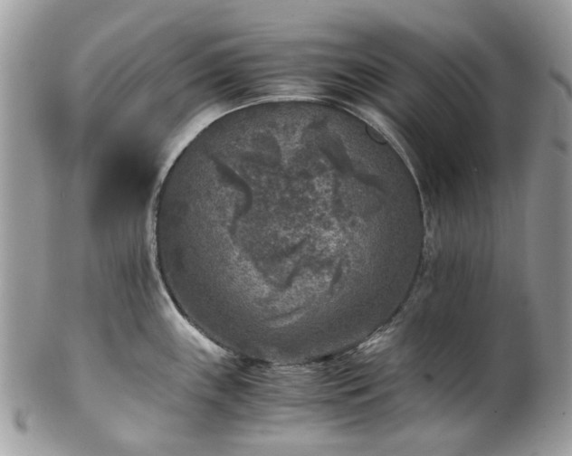 X0000100421243200806131051