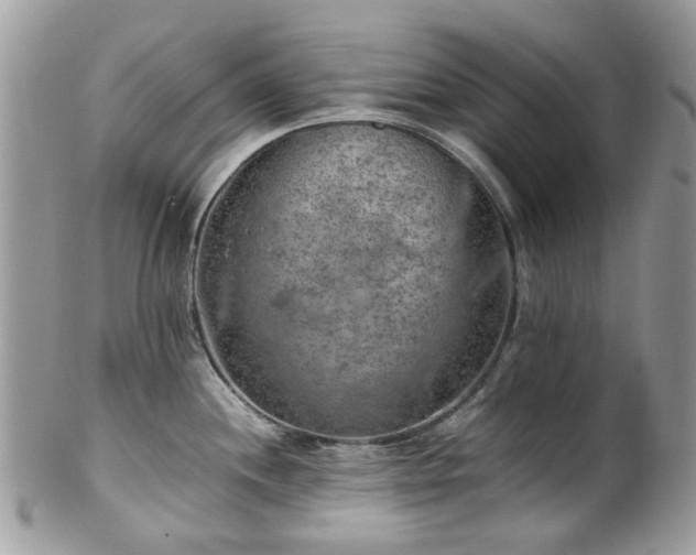 X0000100421244200806131051