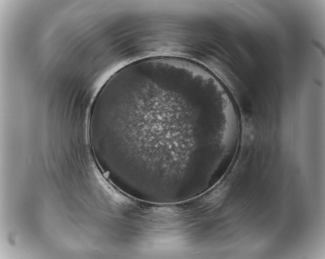 X0000100421246200806131051