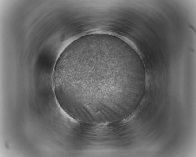 X0000100421247200806131052