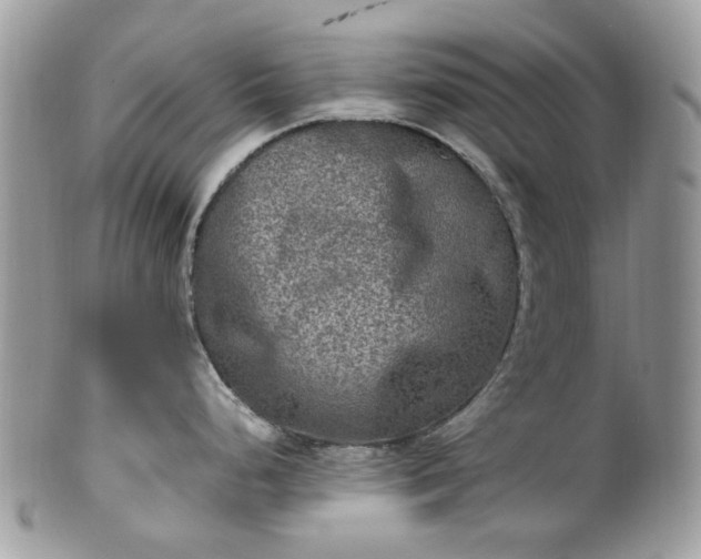 X0000100421248200806131052