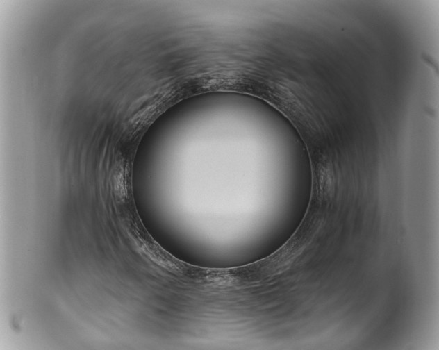 X0000100421250200806131051