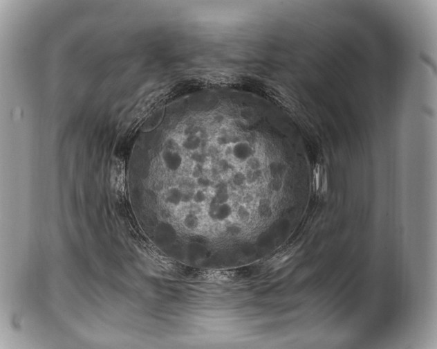 X0000100421251200806131051