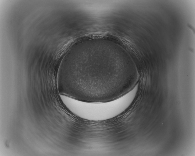X0000100421252200806131051