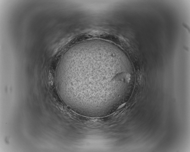 X0000100421253200806131051