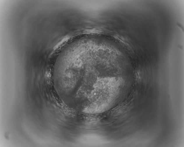 X0000100421254200806131051