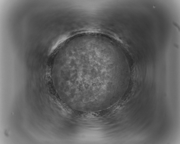 X0000100421255200806131051