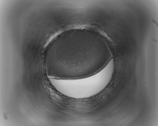 X0000100421256200806131051