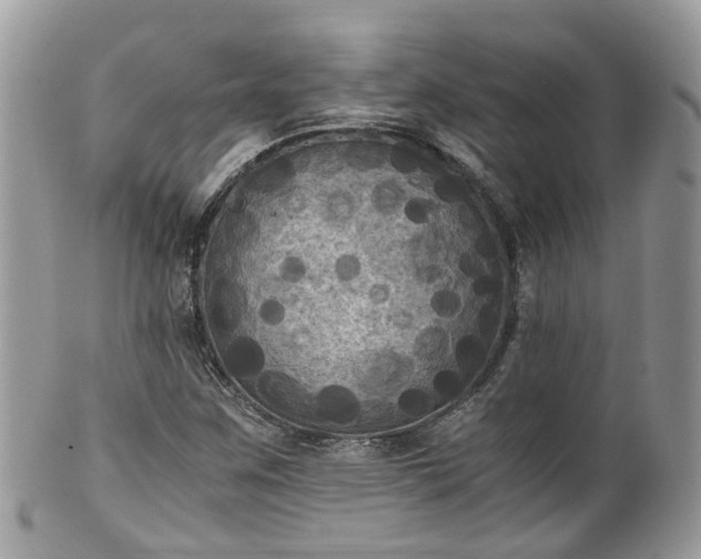 X0000100421259200806131051