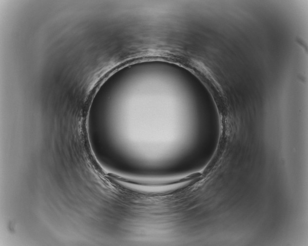 X0000100421260200806131051