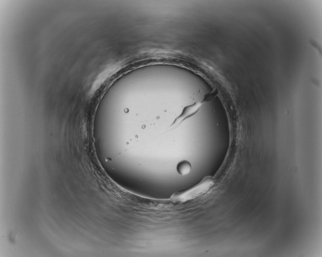 X0000100421261200806131051