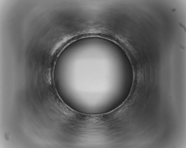 X0000100421262200806131051