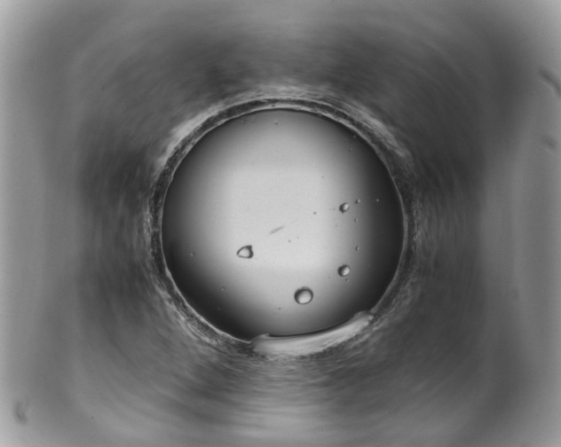 X0000100421264200806131050