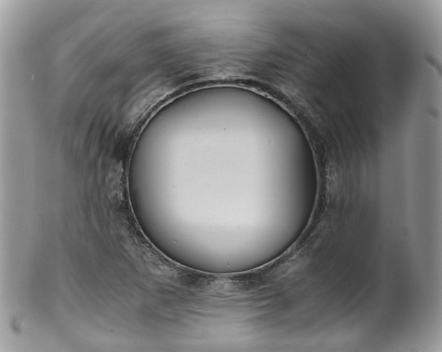 X0000100421265200806131050