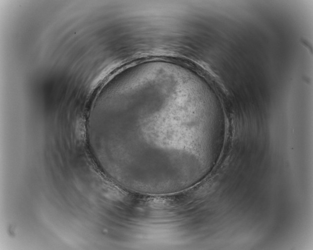 X0000100421266200806131050