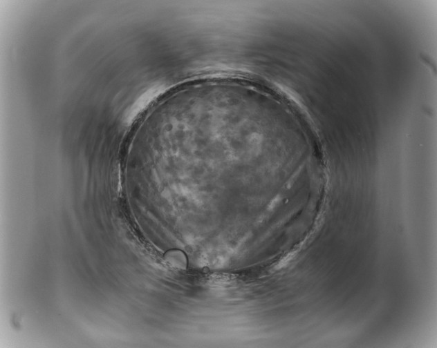 X0000100421267200806131050