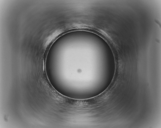 X0000100421269200806131050
