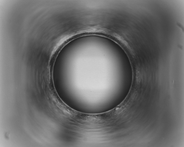 X0000100421270200806131050