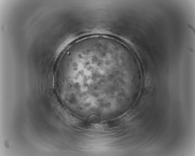 X0000100421271200806131050