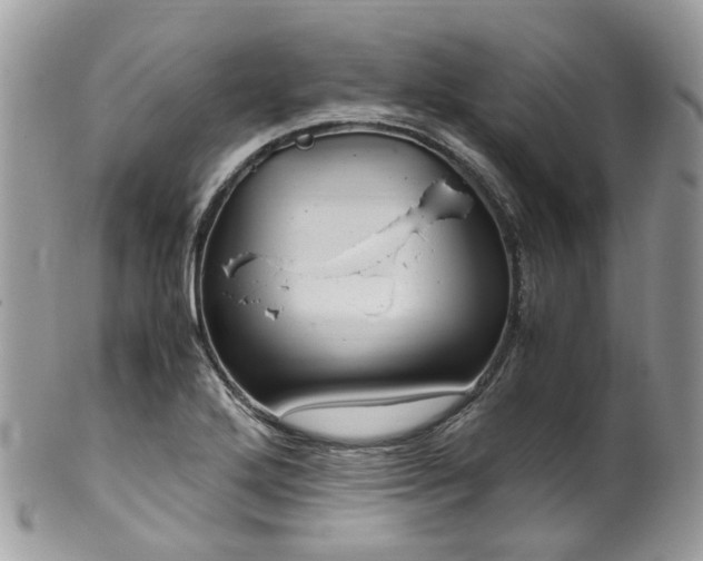 X0000100421272200806131050