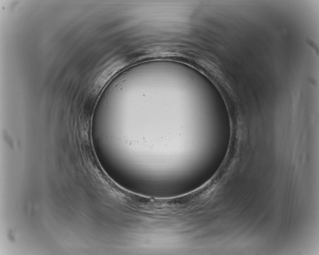 X0000100421273200806131050