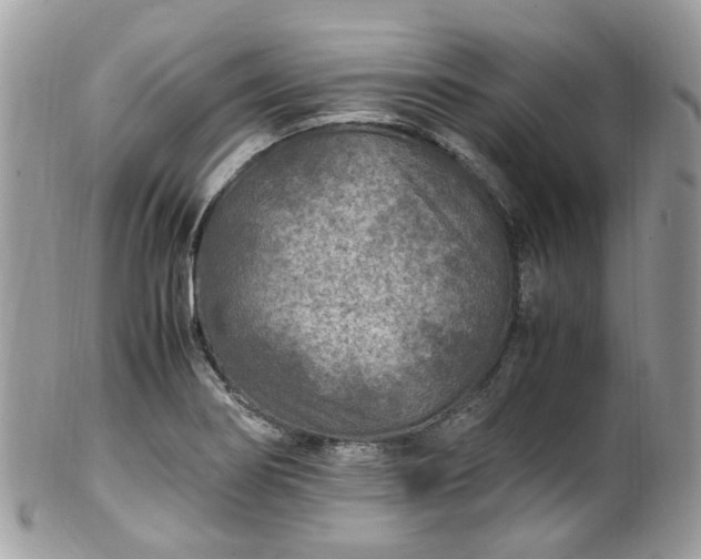 X0000100421274200806131050