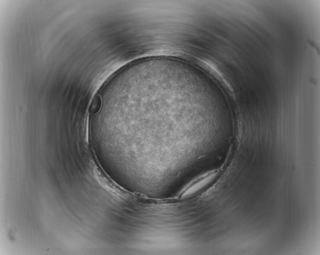 X0000100421276200806131050