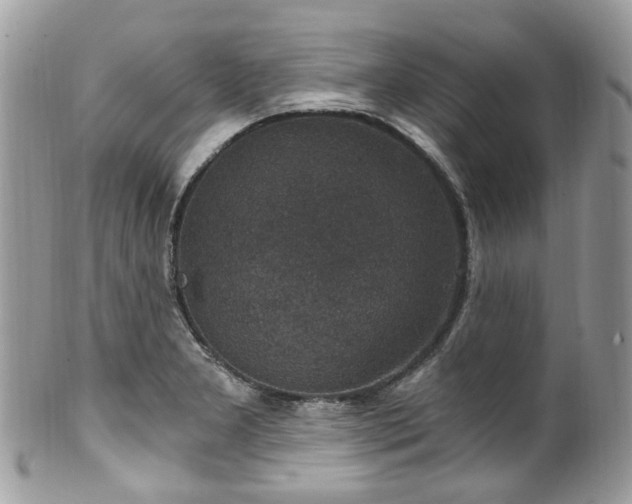 X0000100421277200806131050