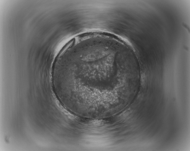 X0000100421279200806131050