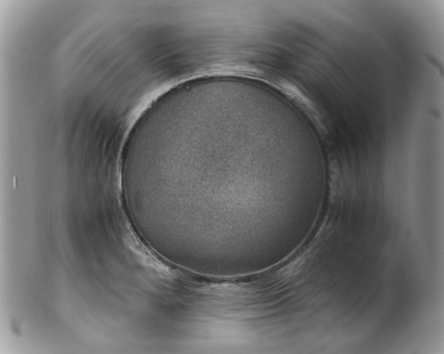 X0000100421280200806131050