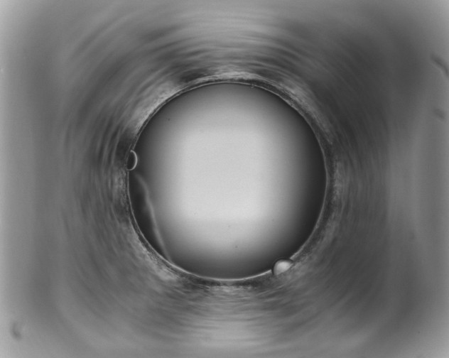 X0000100421281200806131050