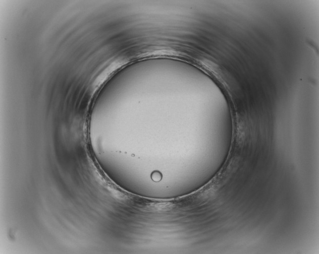 X0000100421282200806131050