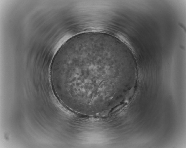 X0000100421283200806131050