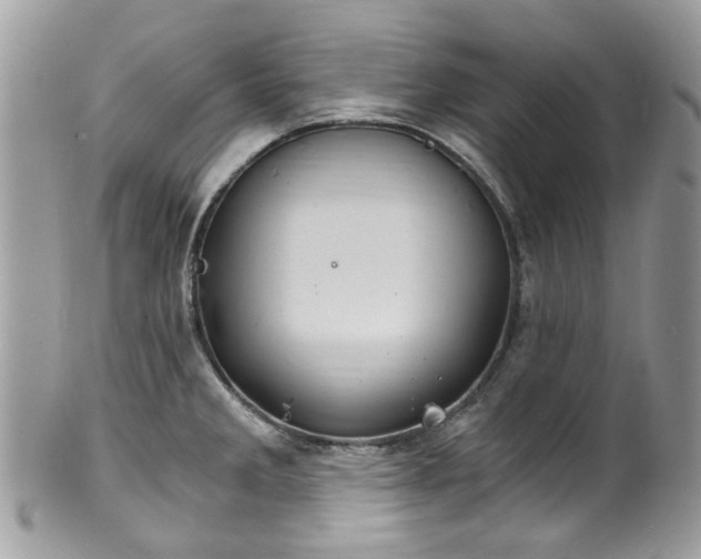 X0000100421285200806131050