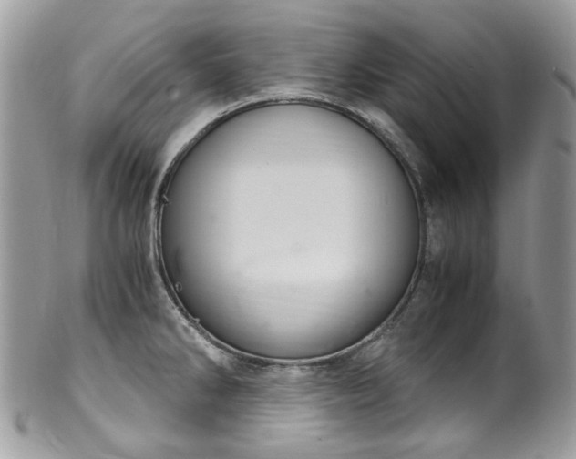 X0000100421286200806131050