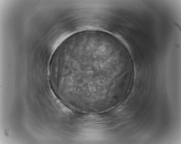 X0000100421287200806131050