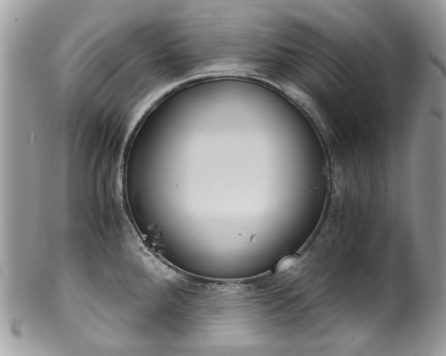 X0000100421288200806131050