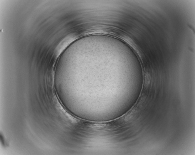 X0000100421290200806131050